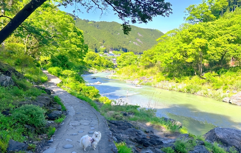 御岳渓谷3