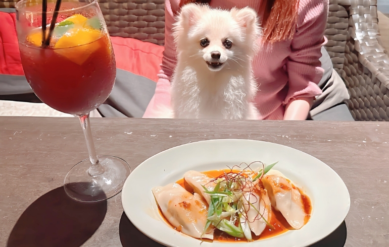 手包み水餃子 ピリ辛XOソースとゆめちゃん