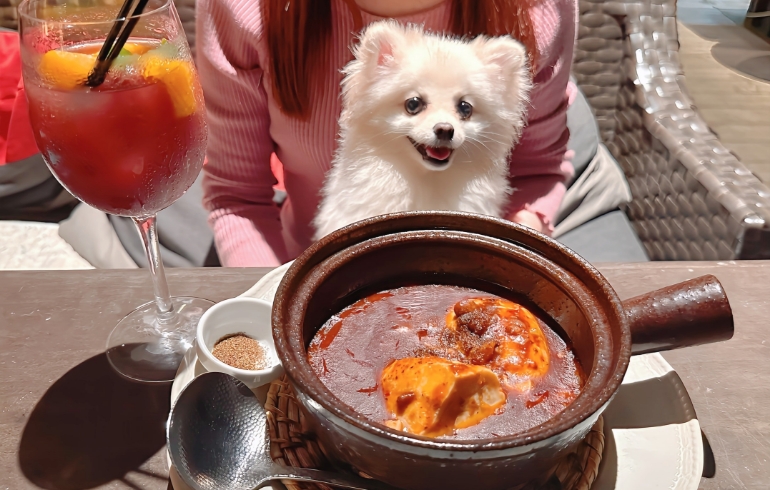 痺れ麻婆豆腐とゆめちゃん