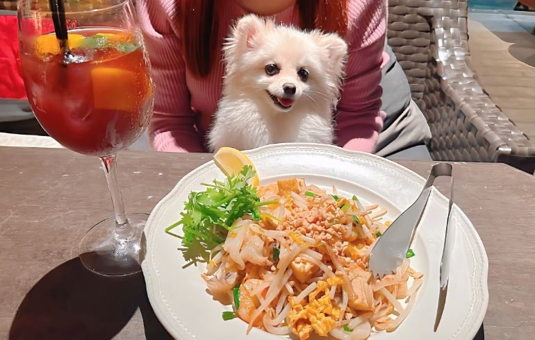 パッタイ〜タイ風海鮮焼きビーフン〜とゆめちゃん