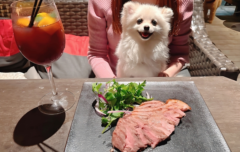 金華豚のグリル（ワンちゃん用のために味付け無し）とゆめちゃん