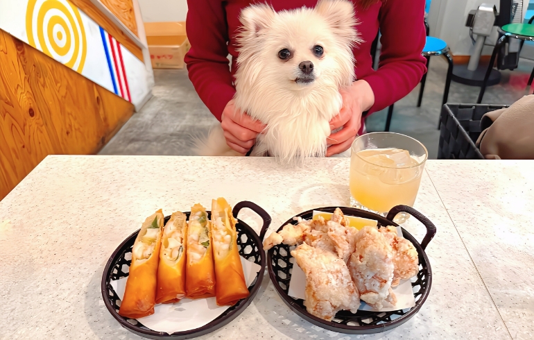 エビ春巻きと唐揚げ