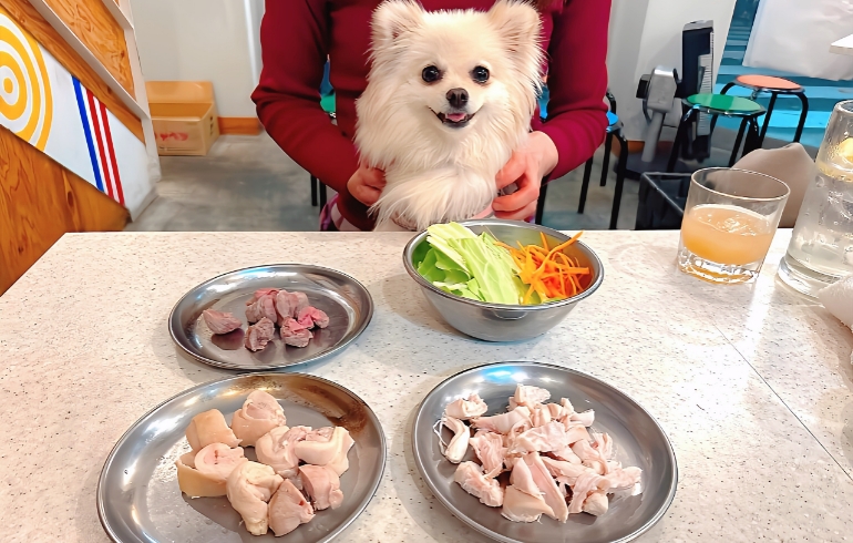 ワンちゃん用ご飯、数種類