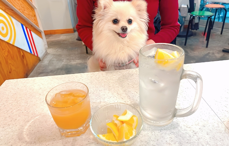 ドリンク、お酒