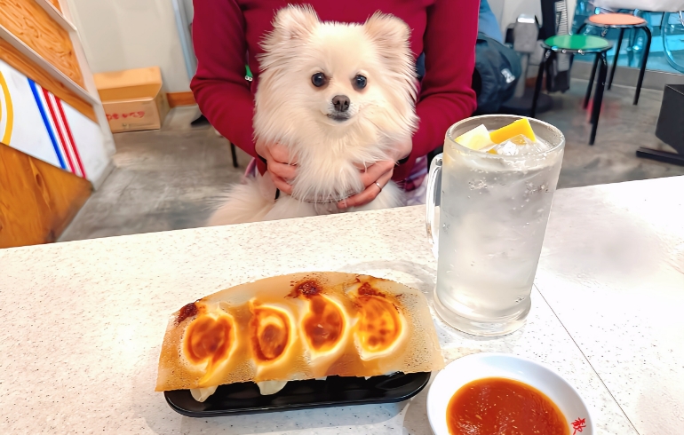 蒲田羽根付き餃子