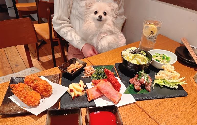 料理各種