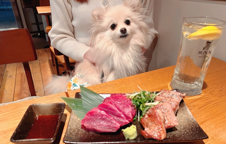 マグロのお刺身とステーキとゆめちゃん