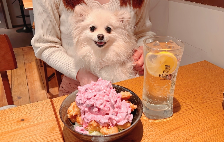 柴漬けタルタルのチキン南蛮とゆめちゃん