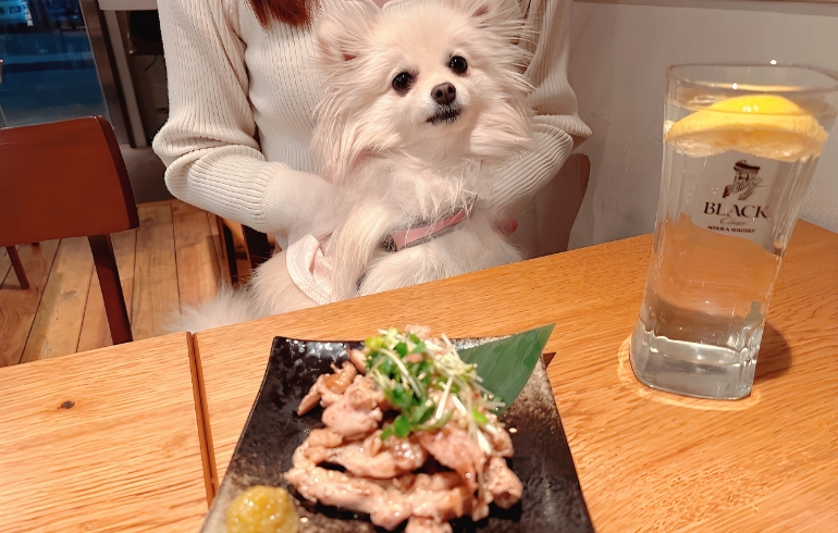鶏せせり黒胡椒焼き 柚子胡椒添えとゆめちゃん