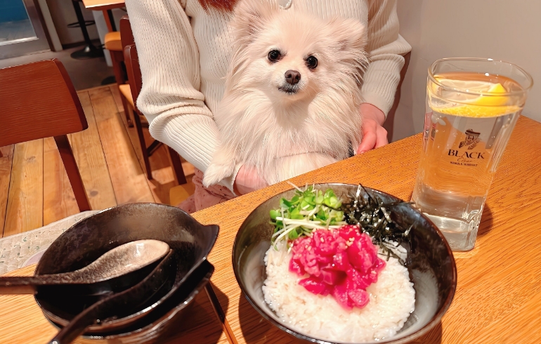 生本鮪の出汁茶漬けとゆめちゃん