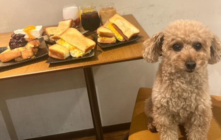 モーニング料理（フレンチトースト各種）1