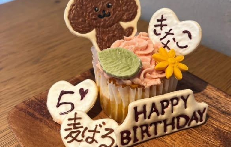 ワンコ用バースデーケーキ3