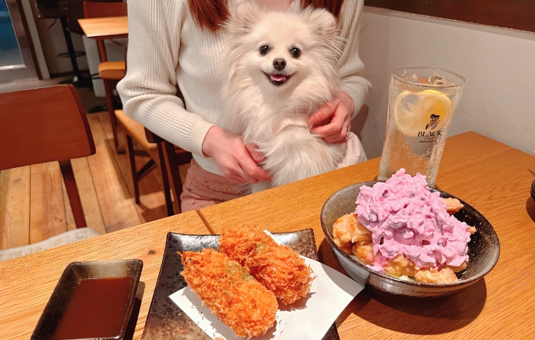 柴漬けタルタルチキン南蛮と蟹グラタンコロッケとゆめちゃん