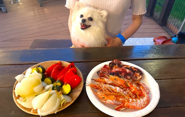 ゆめちゃんと野菜焼きと海鮮焼き