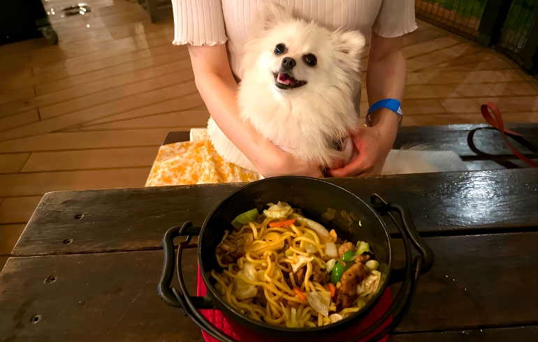 ゆめちゃんと焼きそば