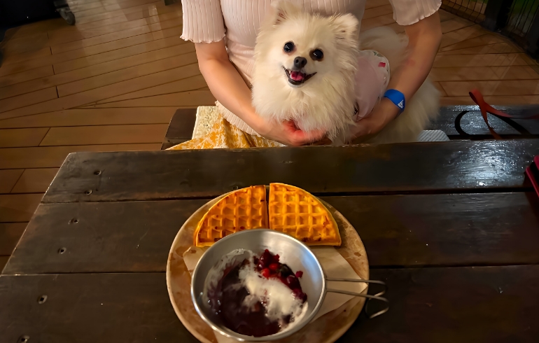 ゆめちゃんとデザート