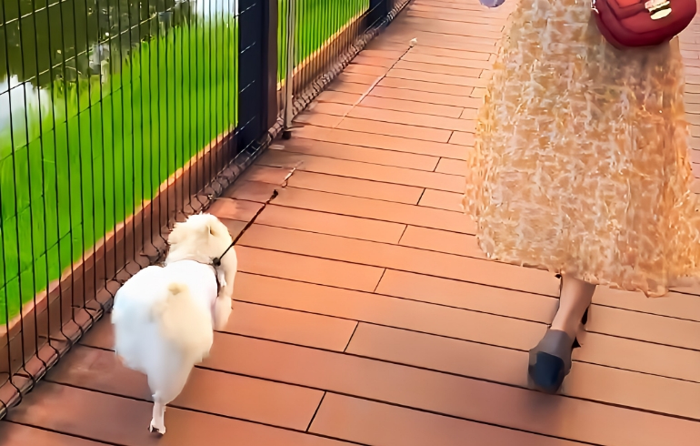 外観4