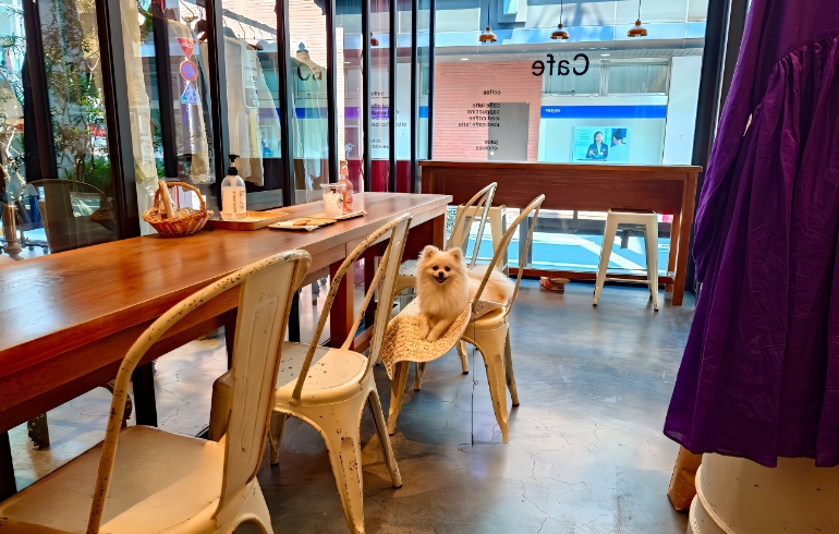 店内1