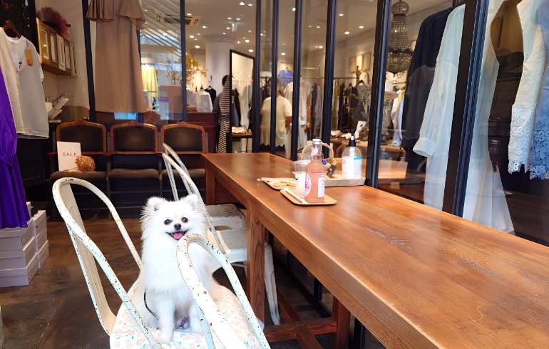 店内2
