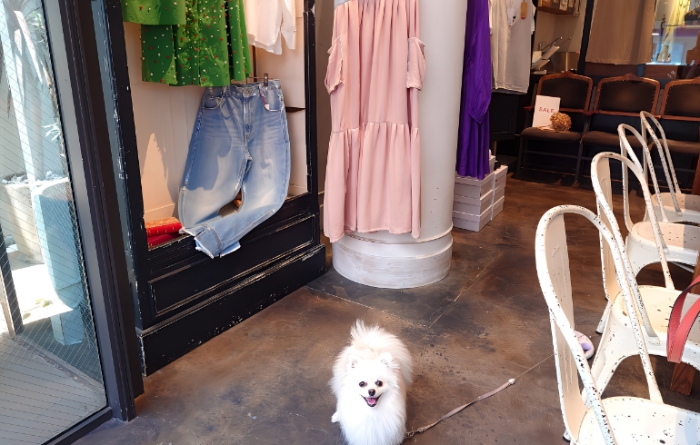 店内3