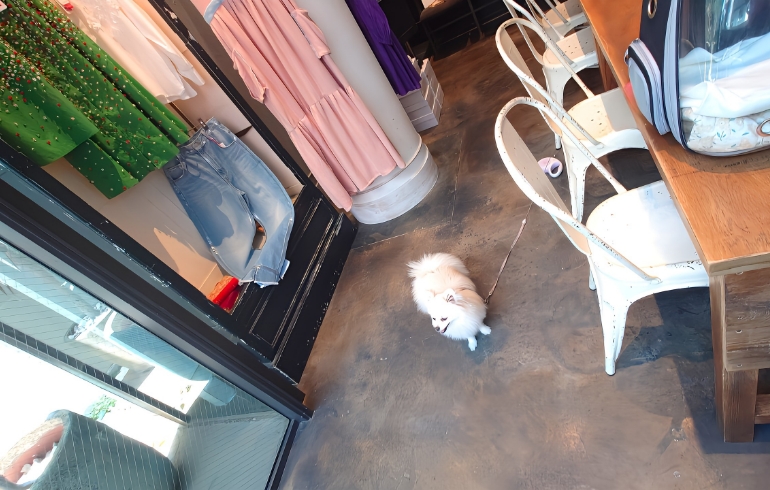 店内4
