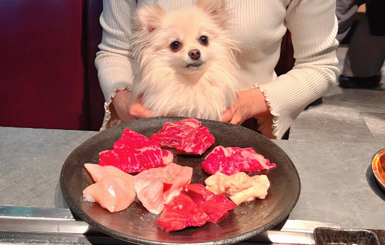 お肉盛り合わせ4