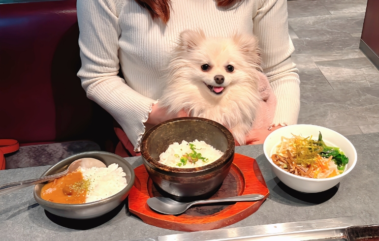 ガーリックライス・牛タンカレー・ビビンバ