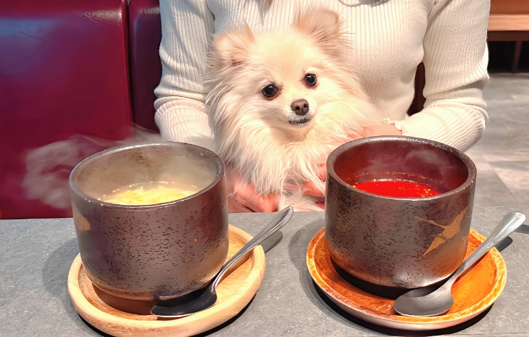 スープ２種