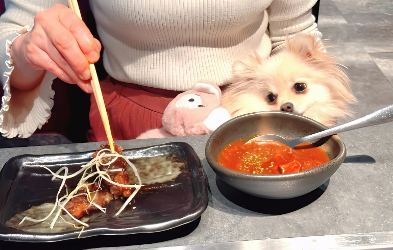 炙り焼きチャーシュー