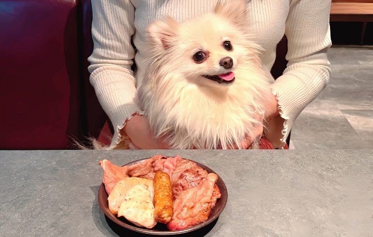 焼き肉盛り合わせ