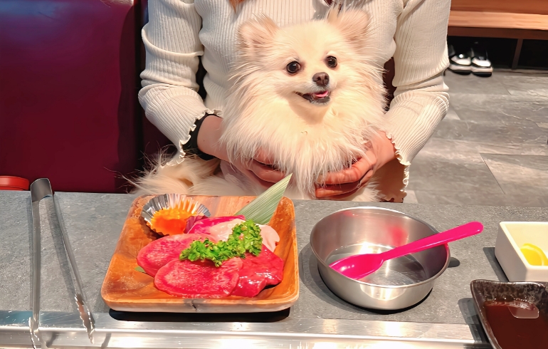 ワンちゃん用お肉盛り合わせ」
