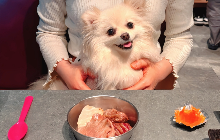 ワンちゃん用焼いたお肉盛り合わせ1