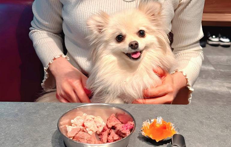 ワンちゃん用焼いたお肉盛り合わせ（切った後）1