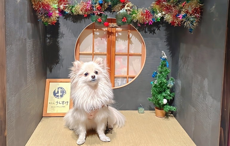 フォトスペース（愛犬の写真2）