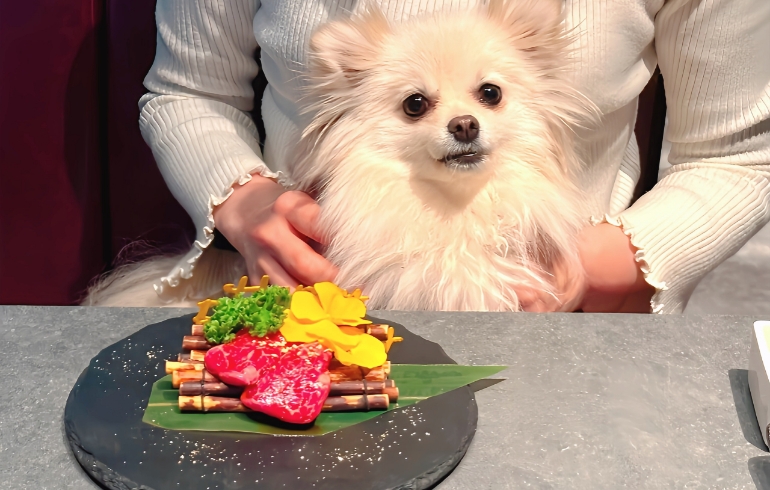 バースデーお肉2