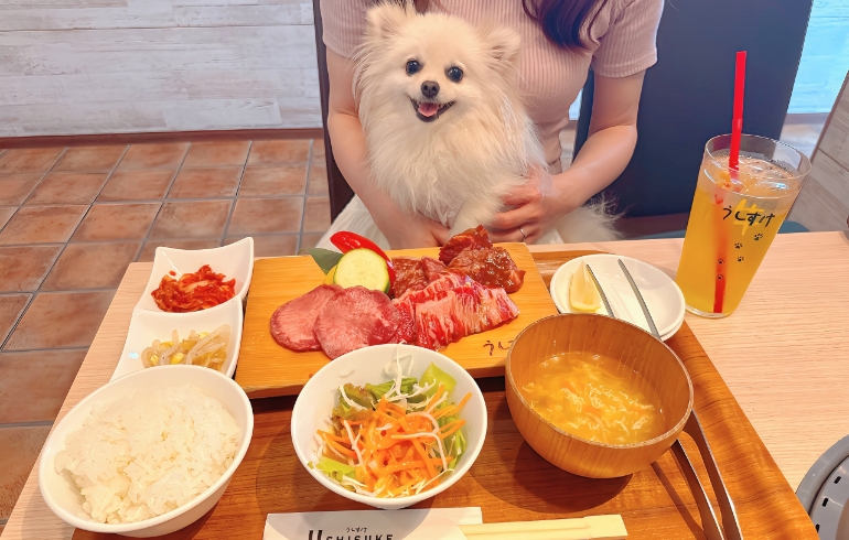 匠の牛たんランチ