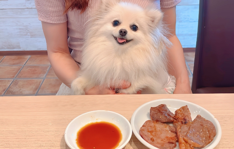 牛たん（焼き後）とゆめちゃん