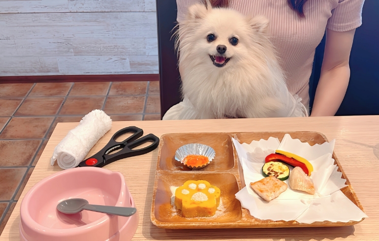 ワンちゃんランチとゆめちゃん