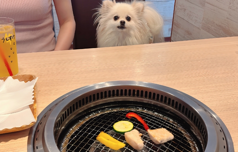 ワンちゃんランチ（焼き中）とゆめちゃん