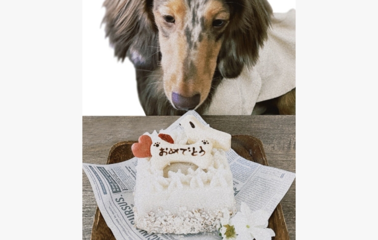 おやつが販売