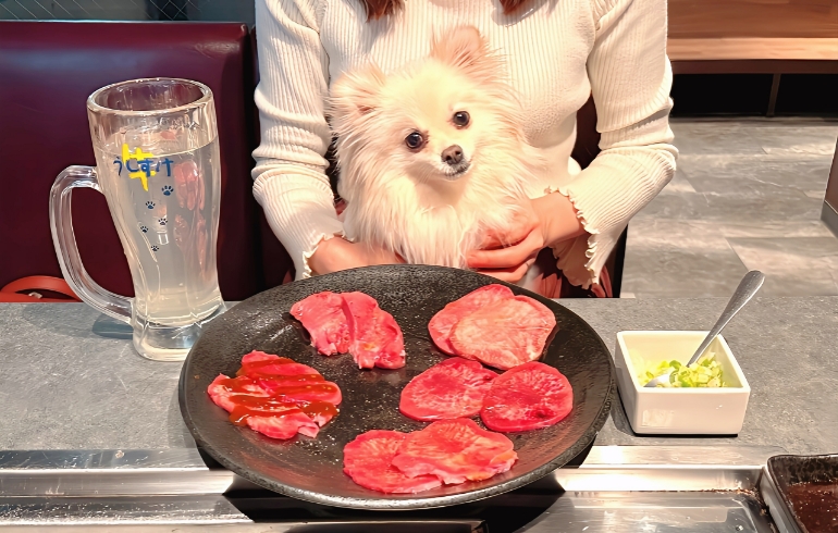 牛タン盛り合わせ