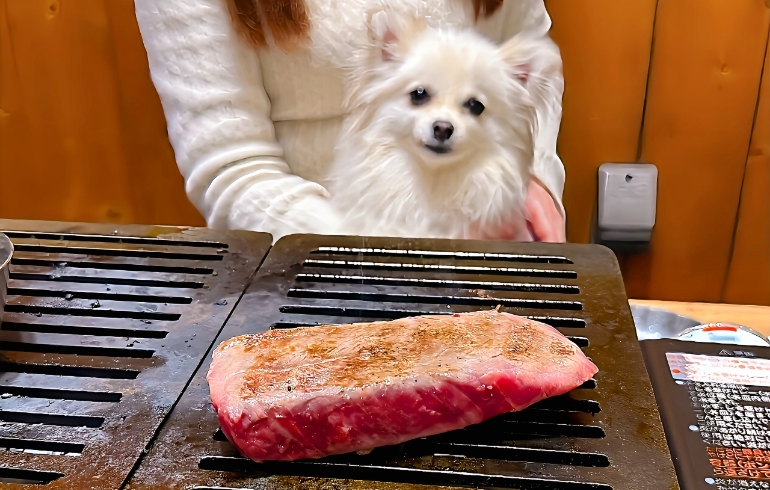 ハラミブロック（焼き中）とゆめちゃん