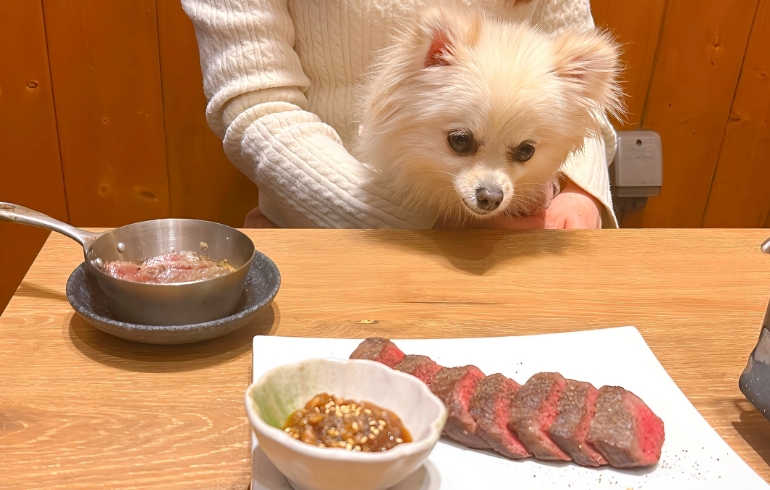 ハラミブロック（カット盛り付け後）とゆめちゃん