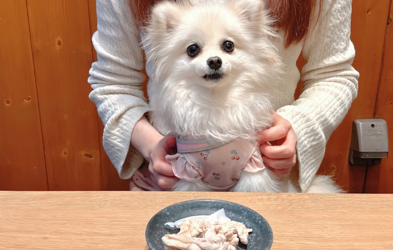 ワンちゃんにとって嬉しい特別なサービス（ボイルしたお肉）とゆめちゃん