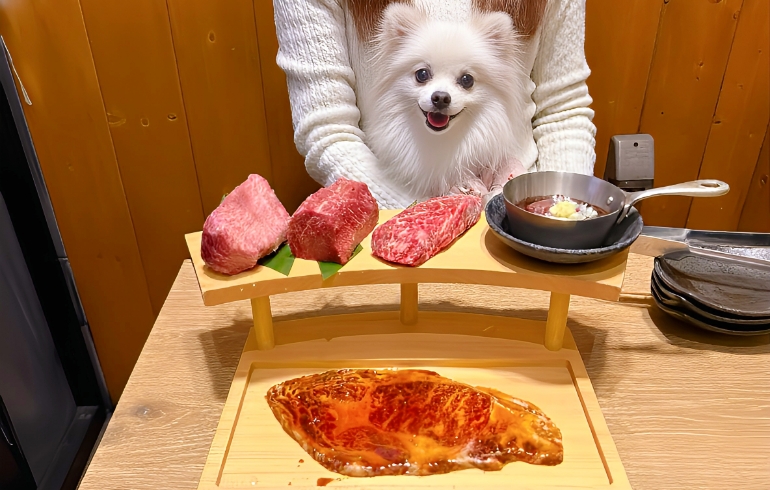 蒲田レジェンド盛りとゆめちゃん