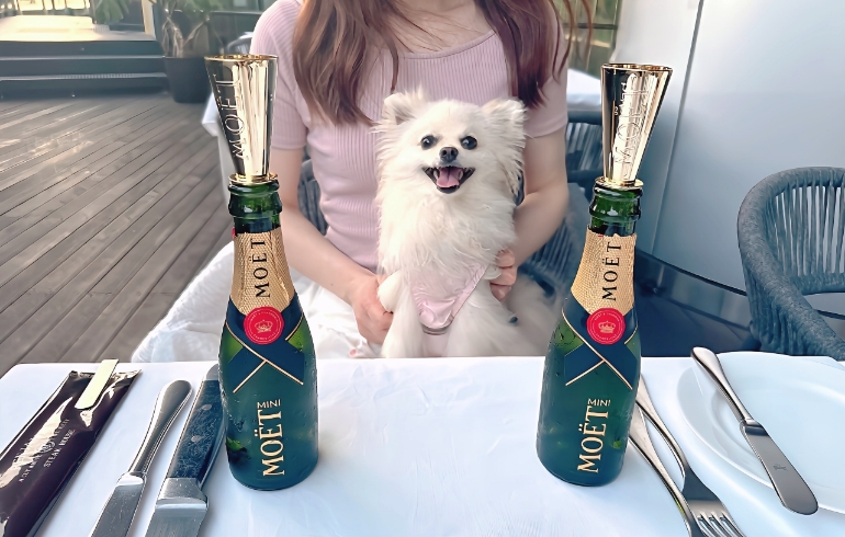 「ミニモエ」のボトルとゆめちゃん（ハイテンション）