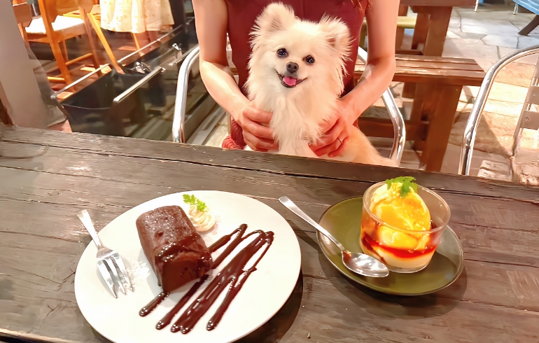 朝採れ卵のこだわりプリンとガトーショコラ