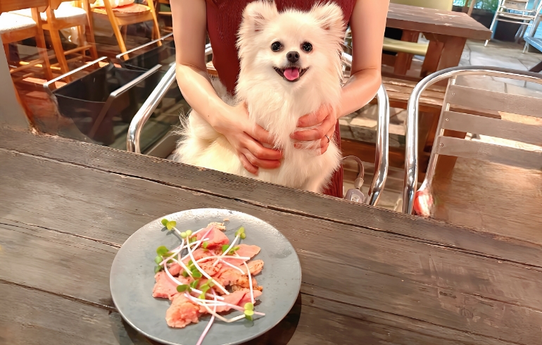 お通し2
