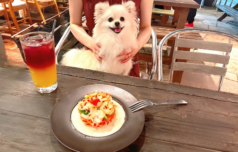 海老のサラダ仕立てブルーチーズソース1