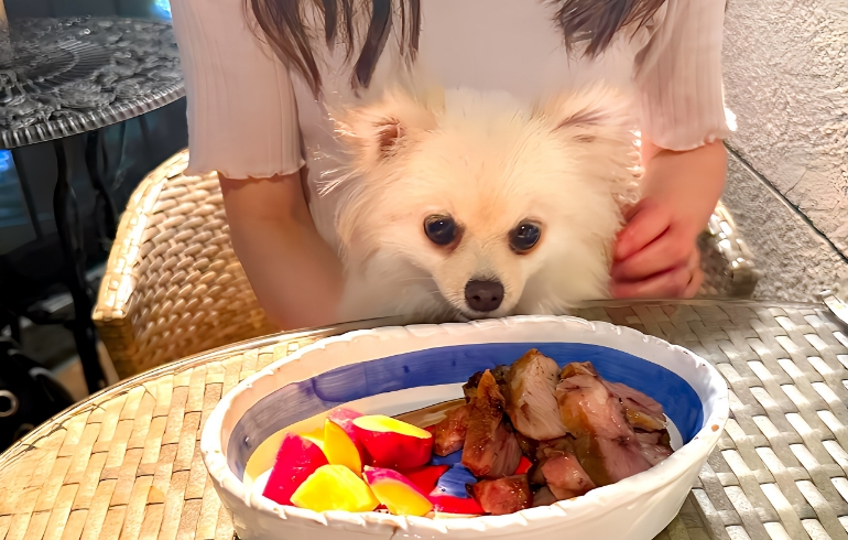 ビストロ コジコジ（Bistro Cosi Cosi）
